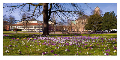 postkarte fruehling friedrichsplatz