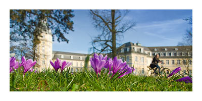 postkarte fruehling krokus schlossturm