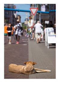 postkarte maya waldstrasse