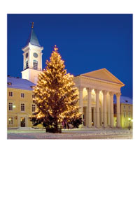 postkarte tannenbaum marktplatz stadtkirche