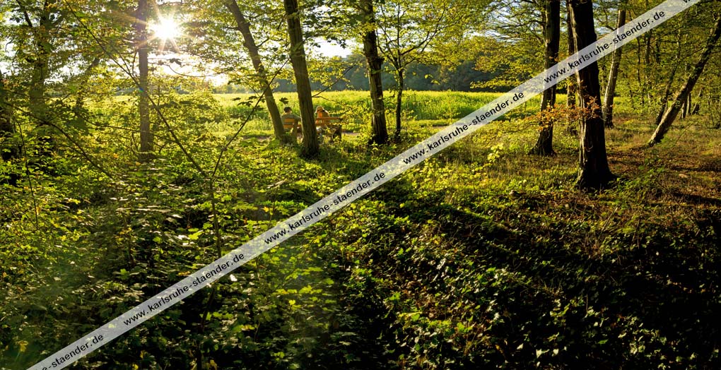 Postkarte Karlsruhe - Oberwald bei Rüppurr Postkarte Karlsruhe - Oberwald bei Rüppurr