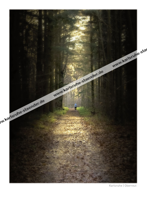 Postkarte Herbst – Hardt-Wald bei Oberreut