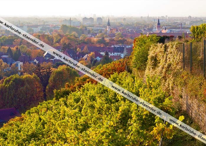 Postkarte Herbst – Durlach Postkarte Herbst – Durlach